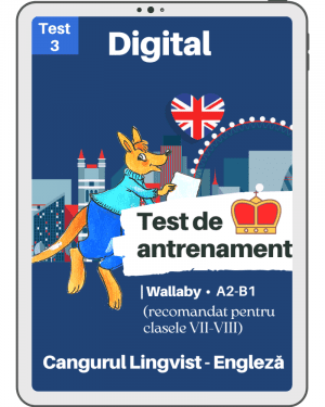 Test 3 de antrenament – WALLABY – Cangurul Lingvist – Engleza