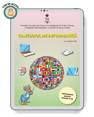 produs digital - Concurs Informatica